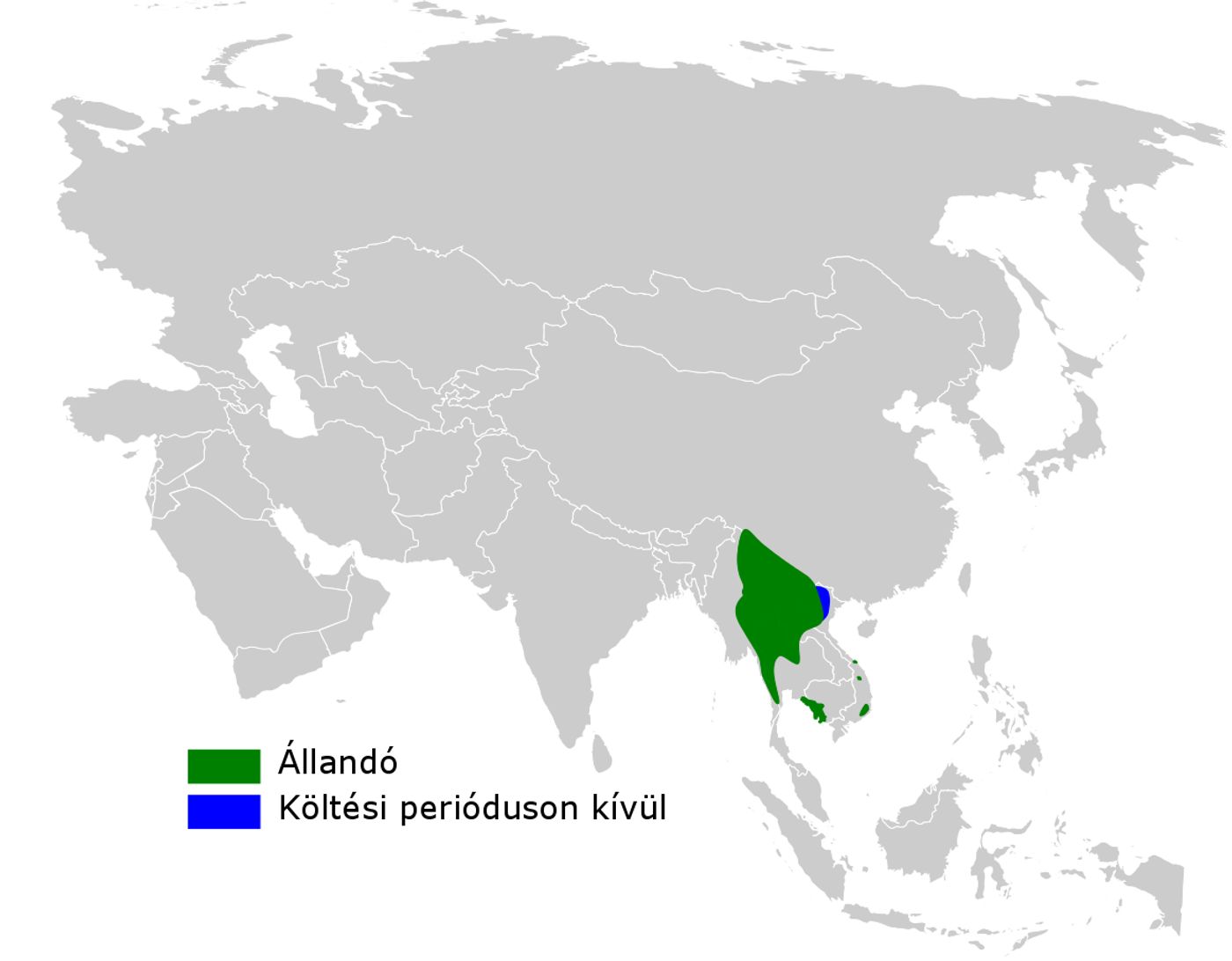 云南白斑尾柳莺